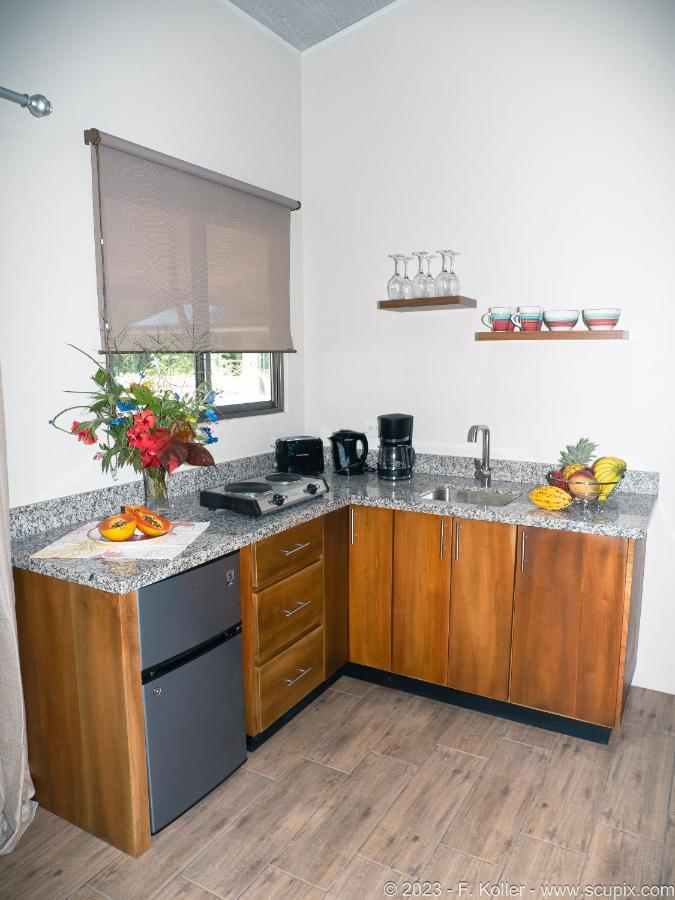 Platanillo Luxury Apartments Nauyaca By Paradiselodge מראה חיצוני תמונה