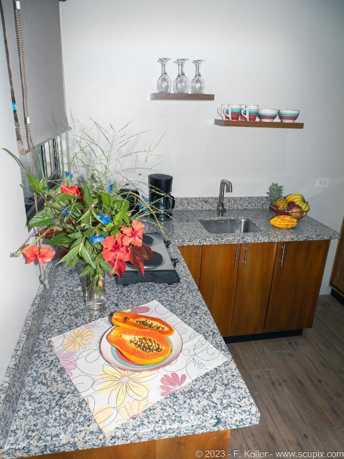Platanillo Luxury Apartments Nauyaca By Paradiselodge מראה חיצוני תמונה